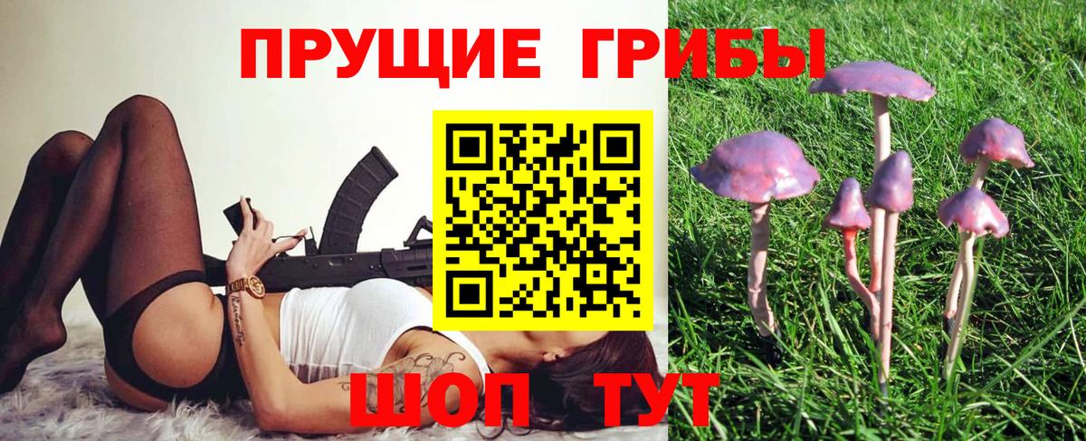 Псилоцибиновые грибы Psilocybe Добрянка