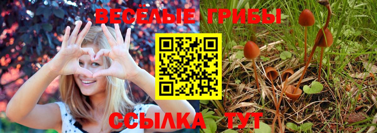 Галлюциногенные грибы мицелий  Вход с VPN  Галлюциногенные грибы мицелий  Добрянка 
