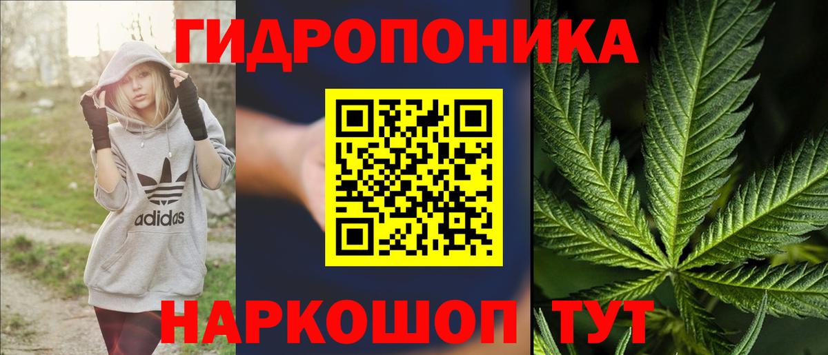 Канабис семена Добрянка